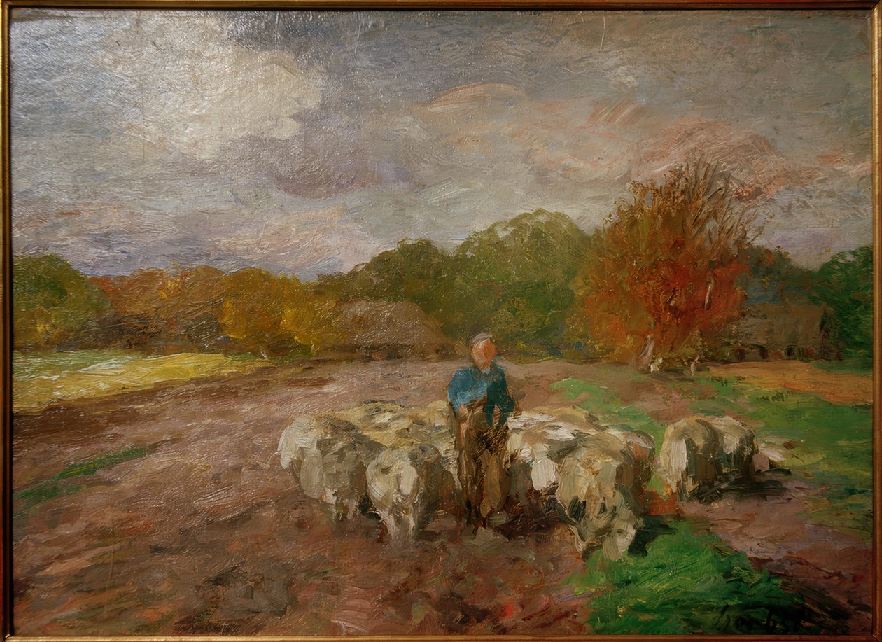 Stádo ovcí na slunci od Thomas Ludwig Herbst