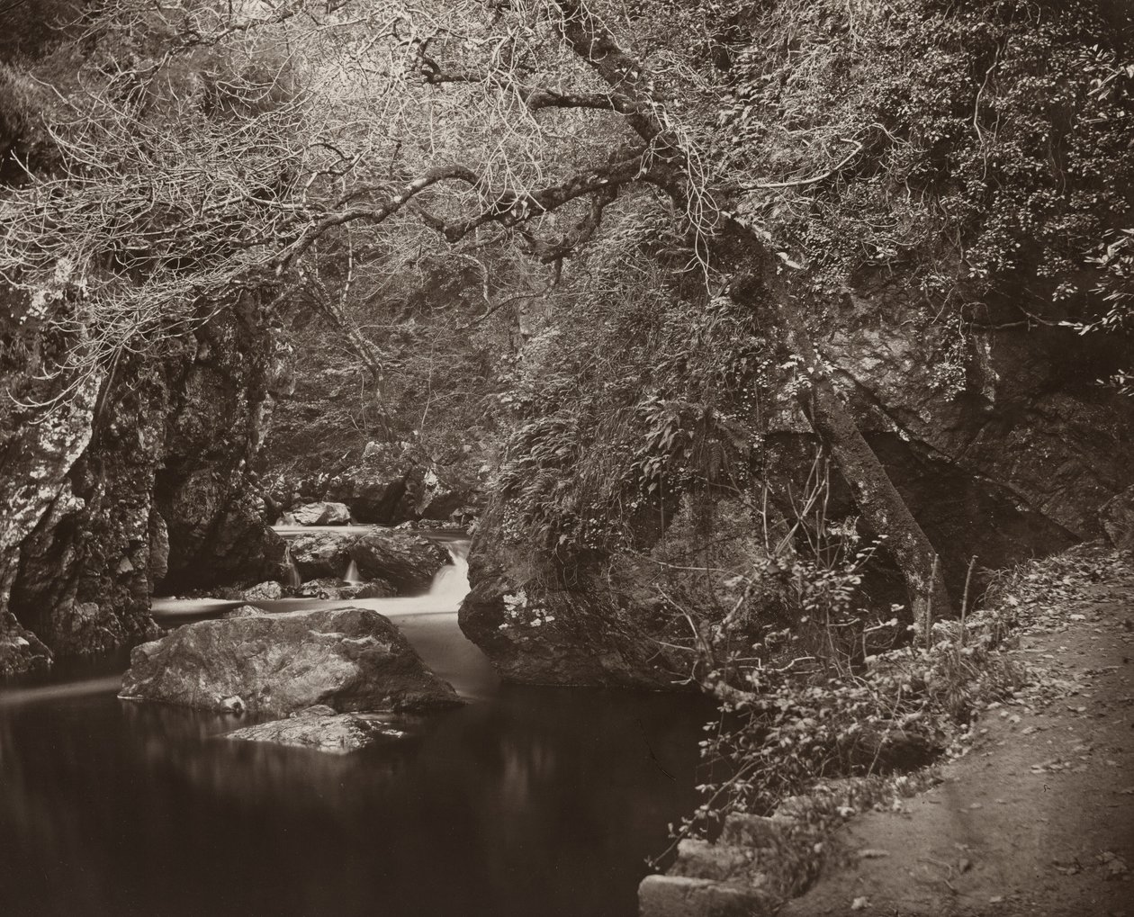 Dargle Hole, c. 1865. od Thomas Marcus Brownrigg