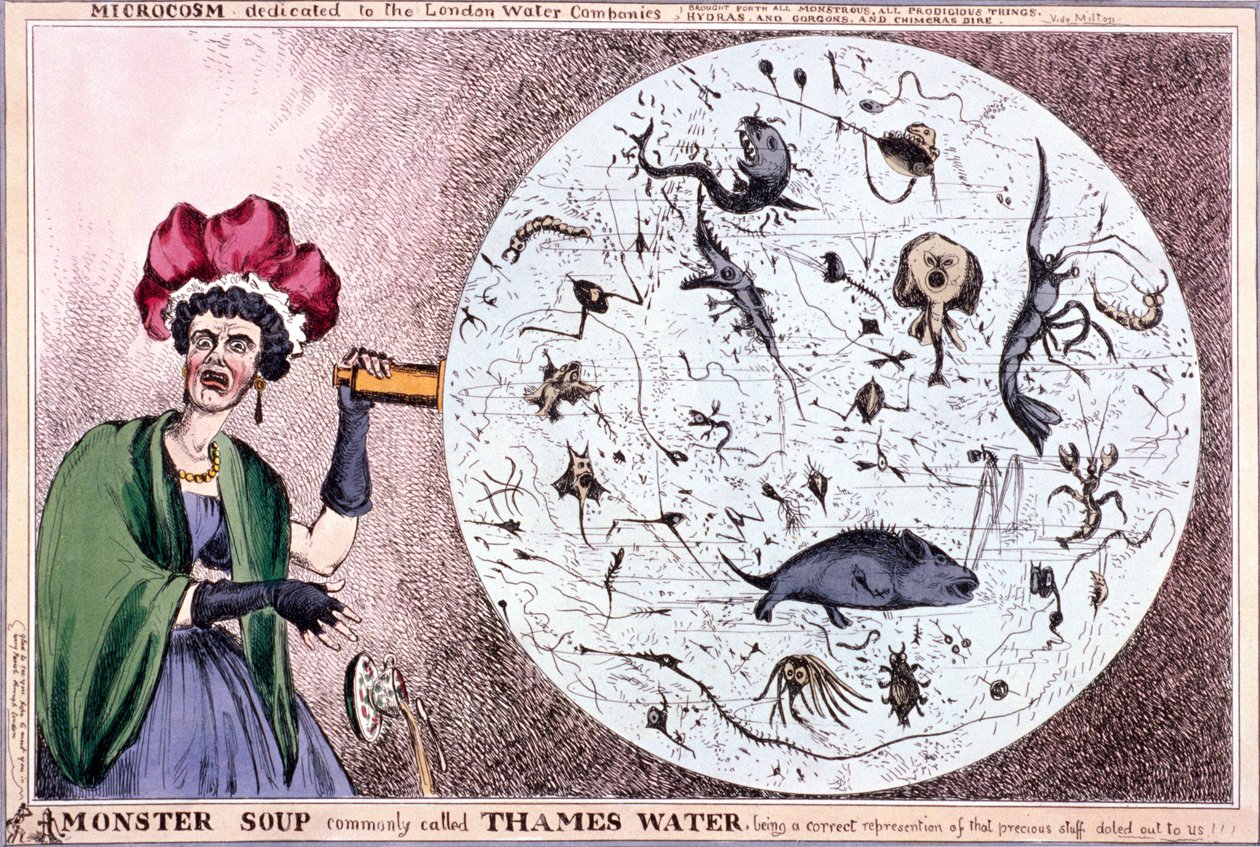 „Polévka monster běžně nazývaná Temžská voda...“, 1828 od Thomas McLean
