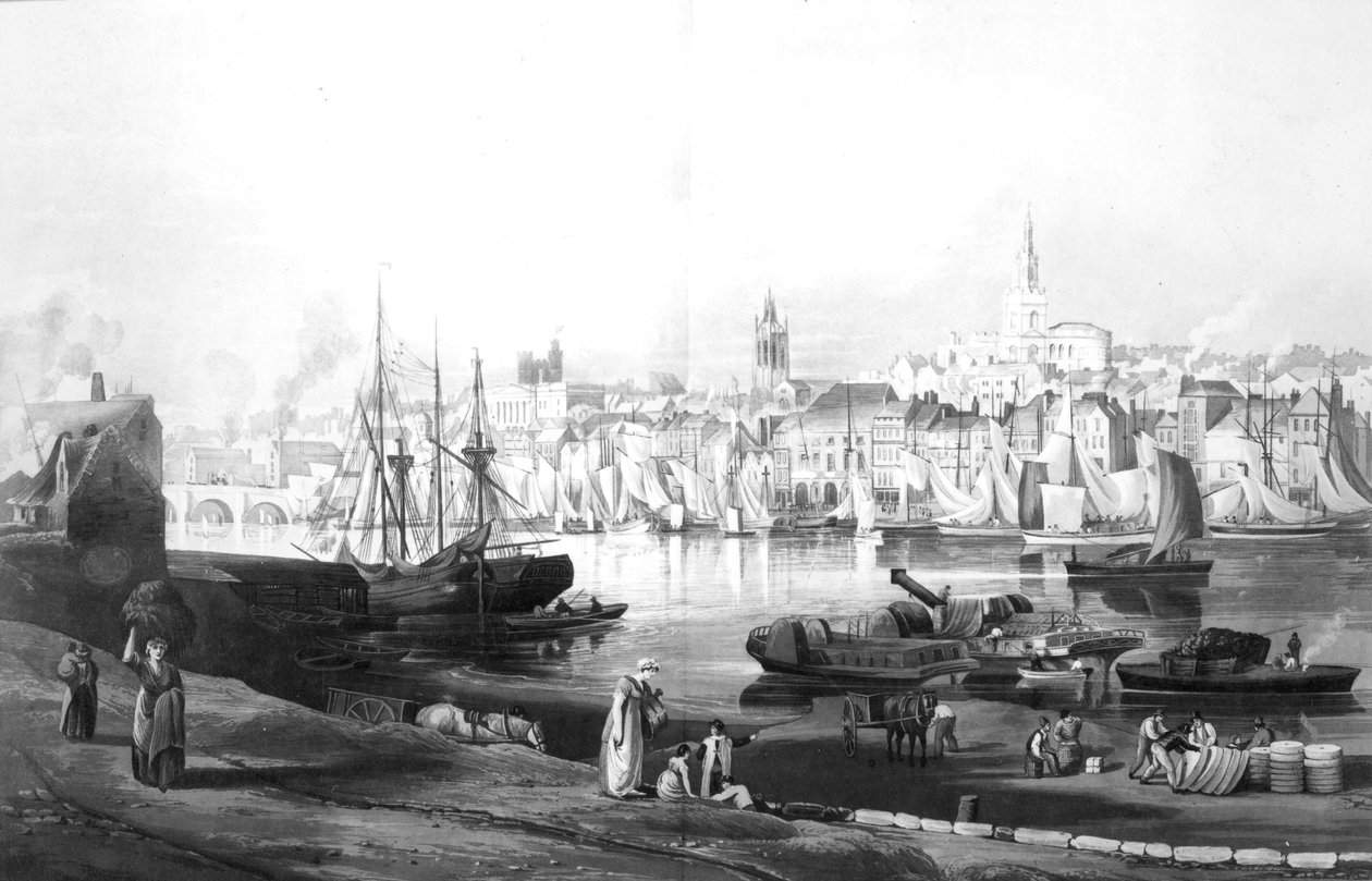 Pohled na přístav a město Newcastle upon Tyne, z Rope Walk, Gateshead, vyryto Robertem Havellem, 1819 (rytina) od Thomas Miles Richardson