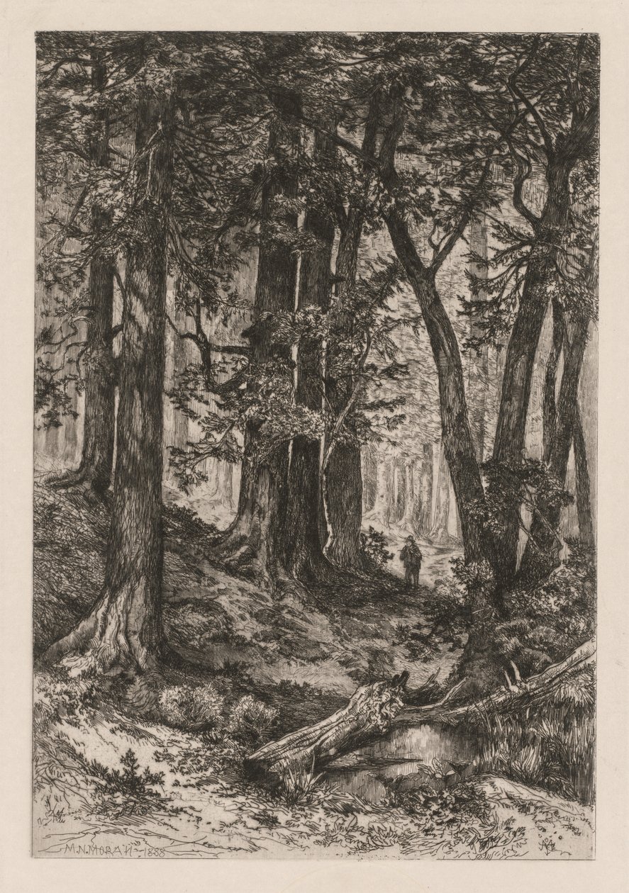 Interiér kalifornského lesa (podle Thomase Morana (Američan)) od Thomas Moran