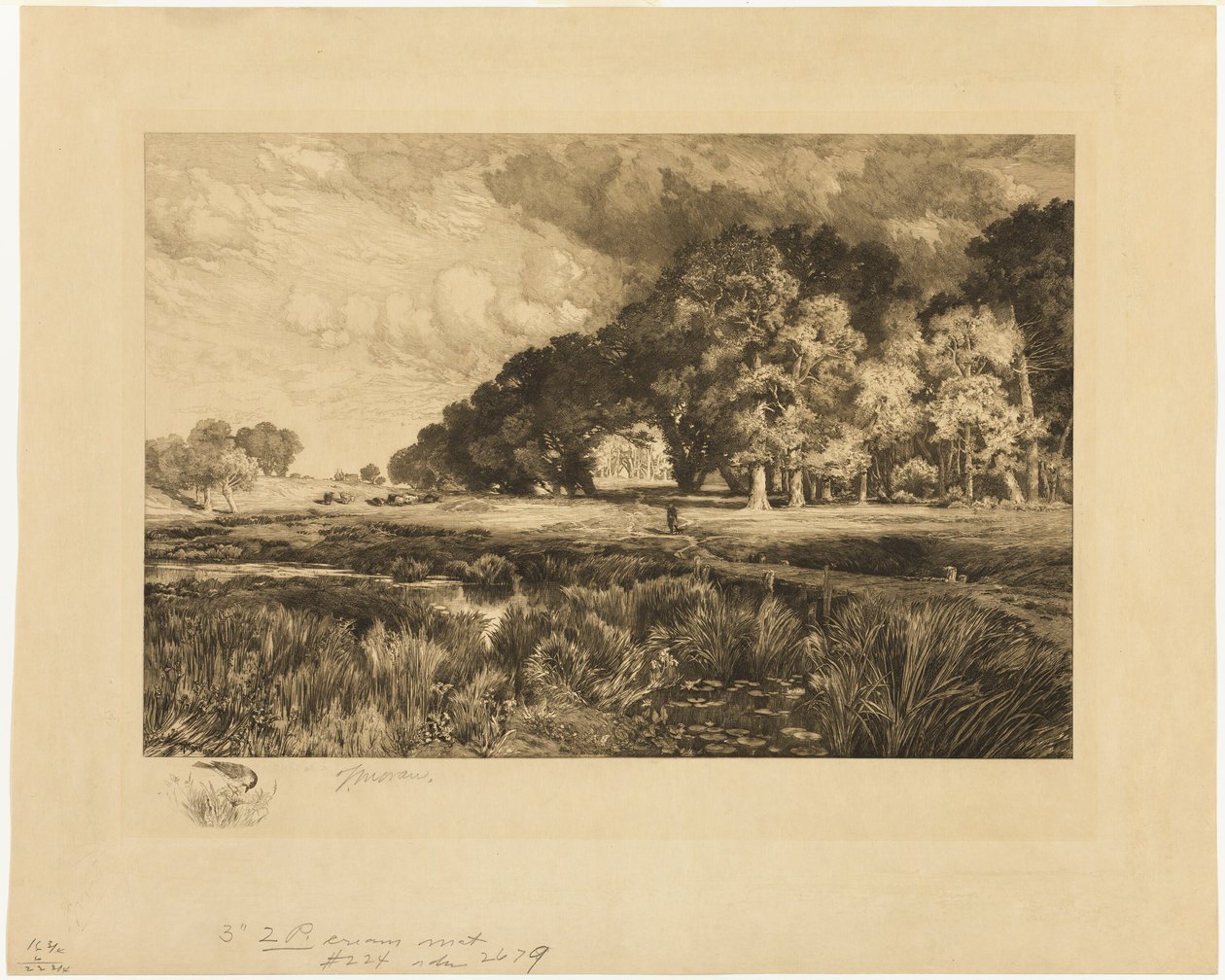 Krajina Long Island od Thomas Moran