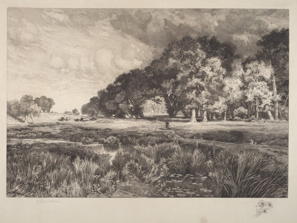 Krajina Long Islandu od Thomas Moran