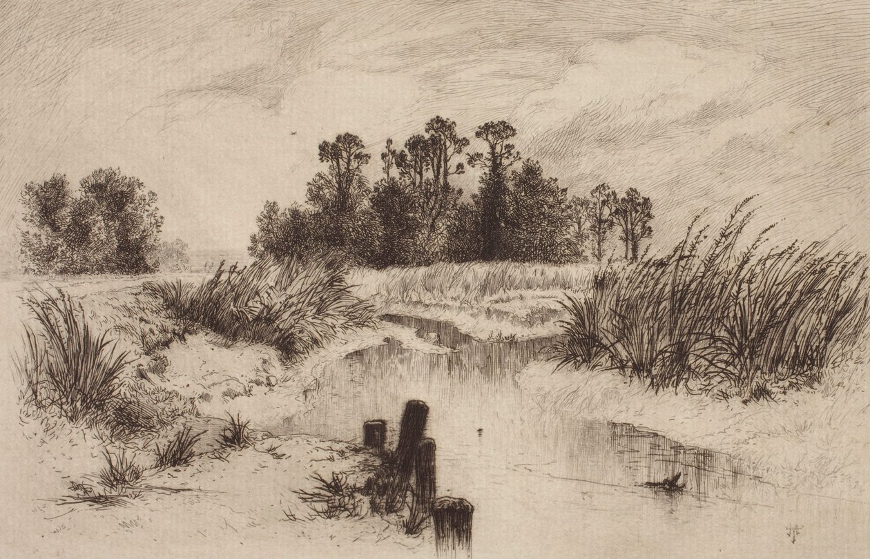 Bažinatá krajina s potokem od Thomas Moran
