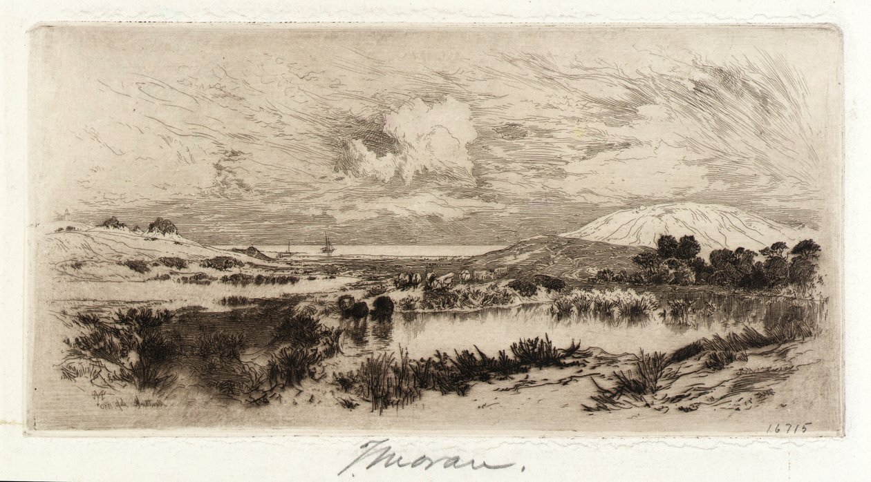 Montauk od Thomas Moran