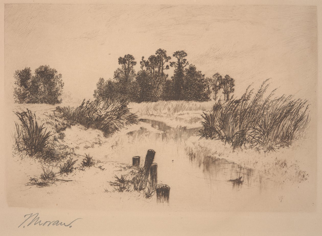 Passaic Meadows (In the Newark Meadows) od Thomas Moran