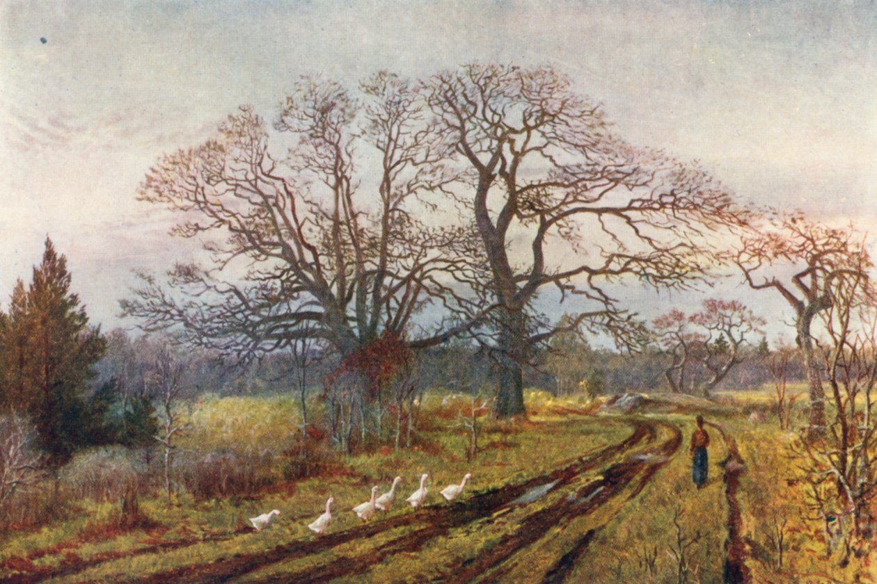  od Thomas Mower Martin