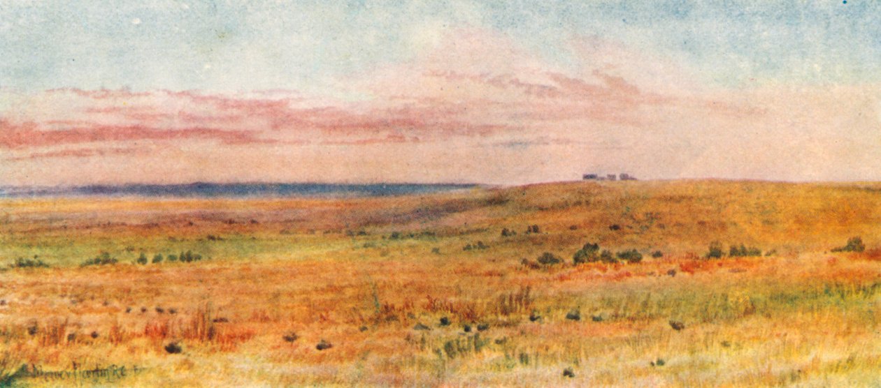  od Thomas Mower Martin