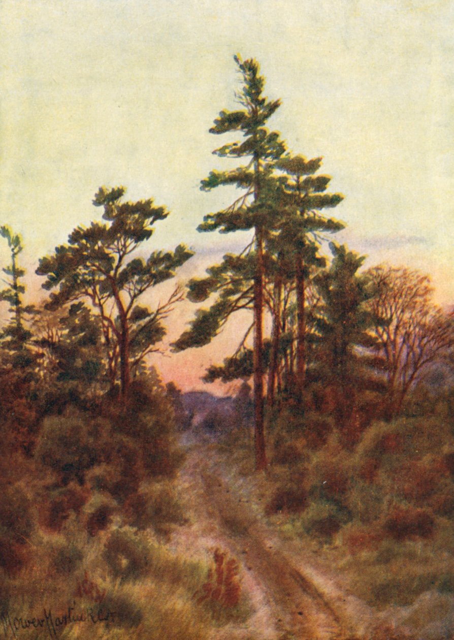 Silnice u Victorie, Večer (barevná litografie) od Thomas Mower Martin