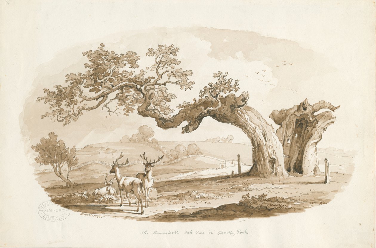 Chartley Hall - Park: sépiová kresba (vinětovaná) od Thomas Peploe Wood