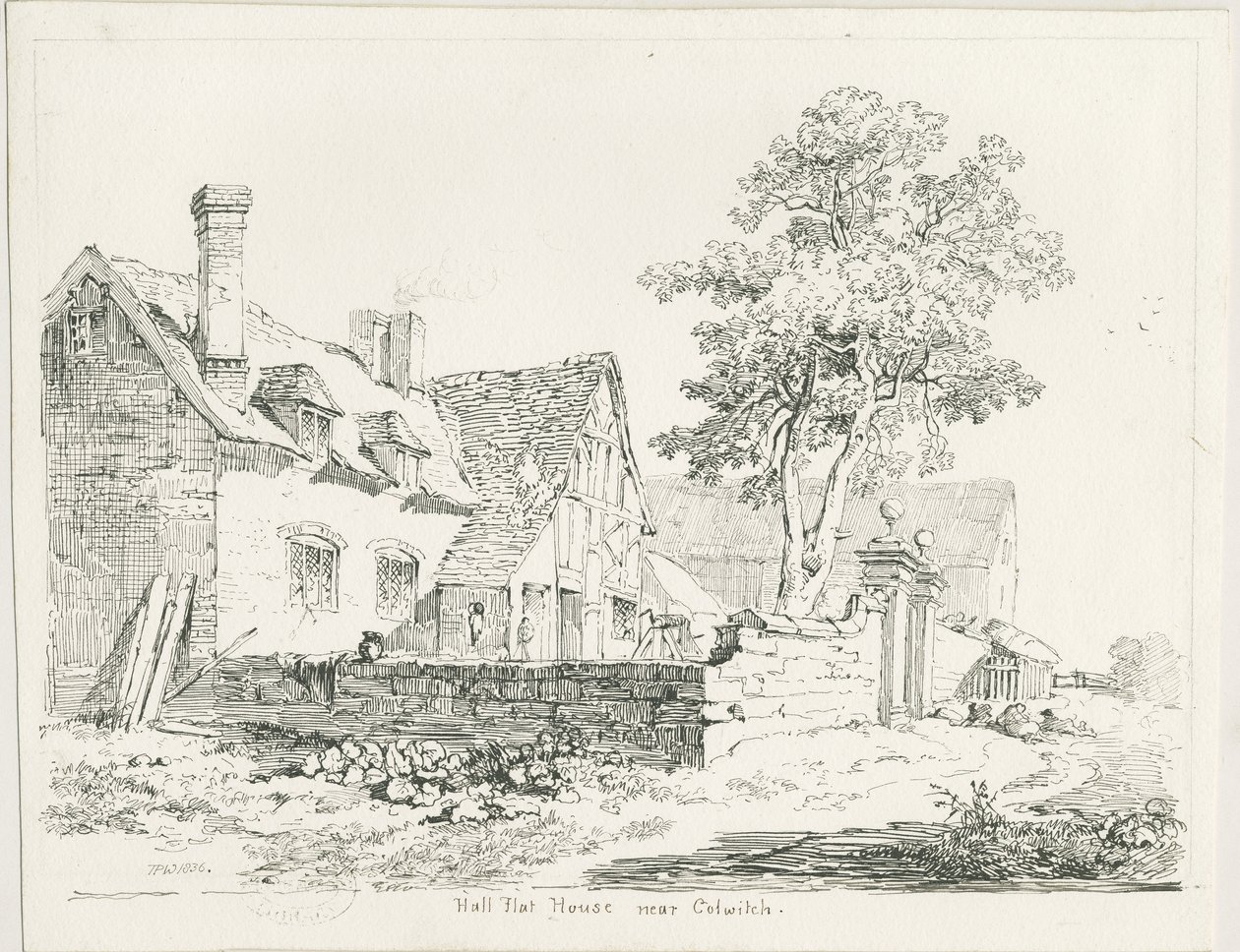 Colwich - Hall Flat House: kresba perem a tuší od Thomas Peploe Wood
