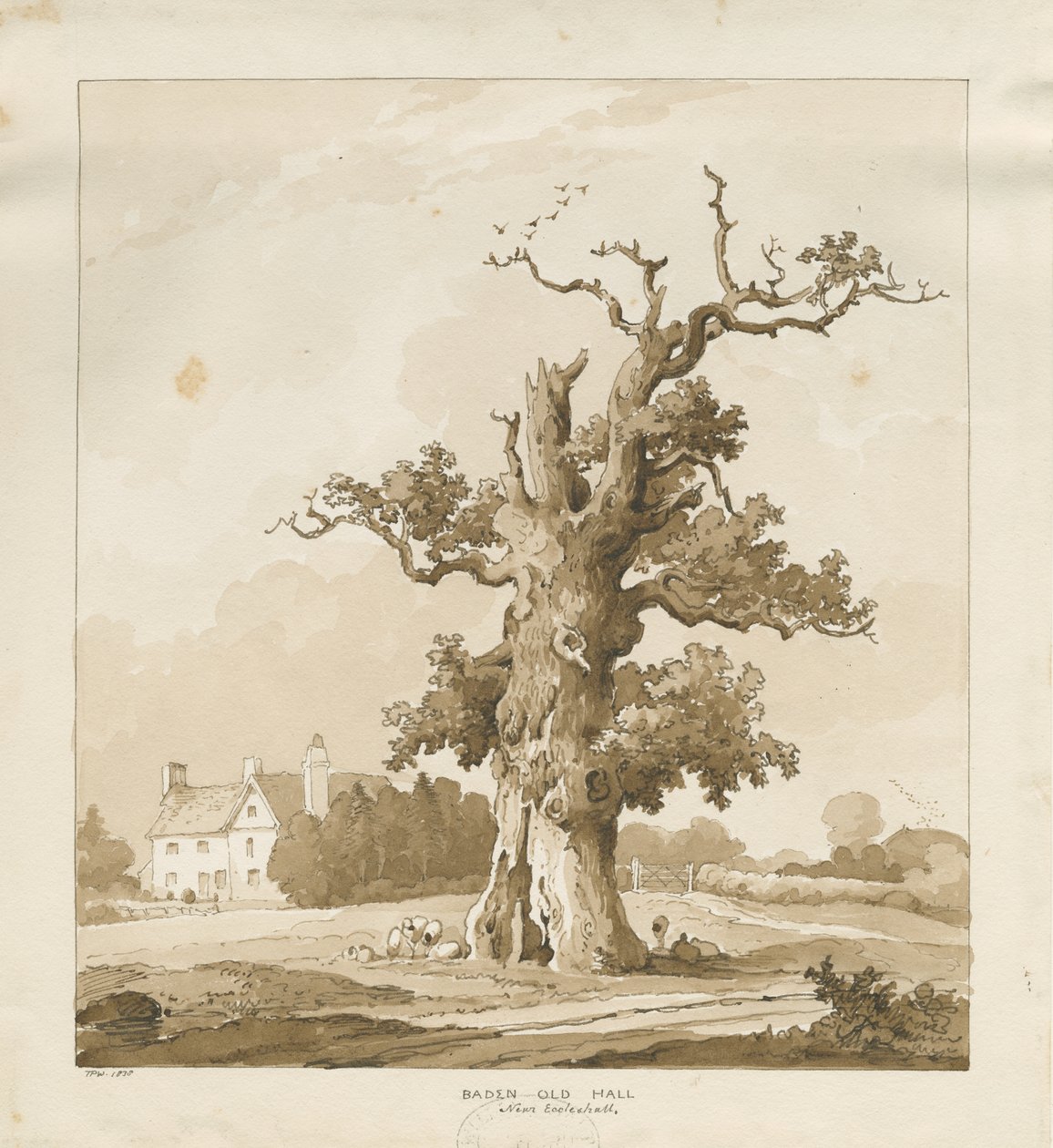 Eccleshall - Baden Old Hall: sépiová kresba od Thomas Peploe Wood