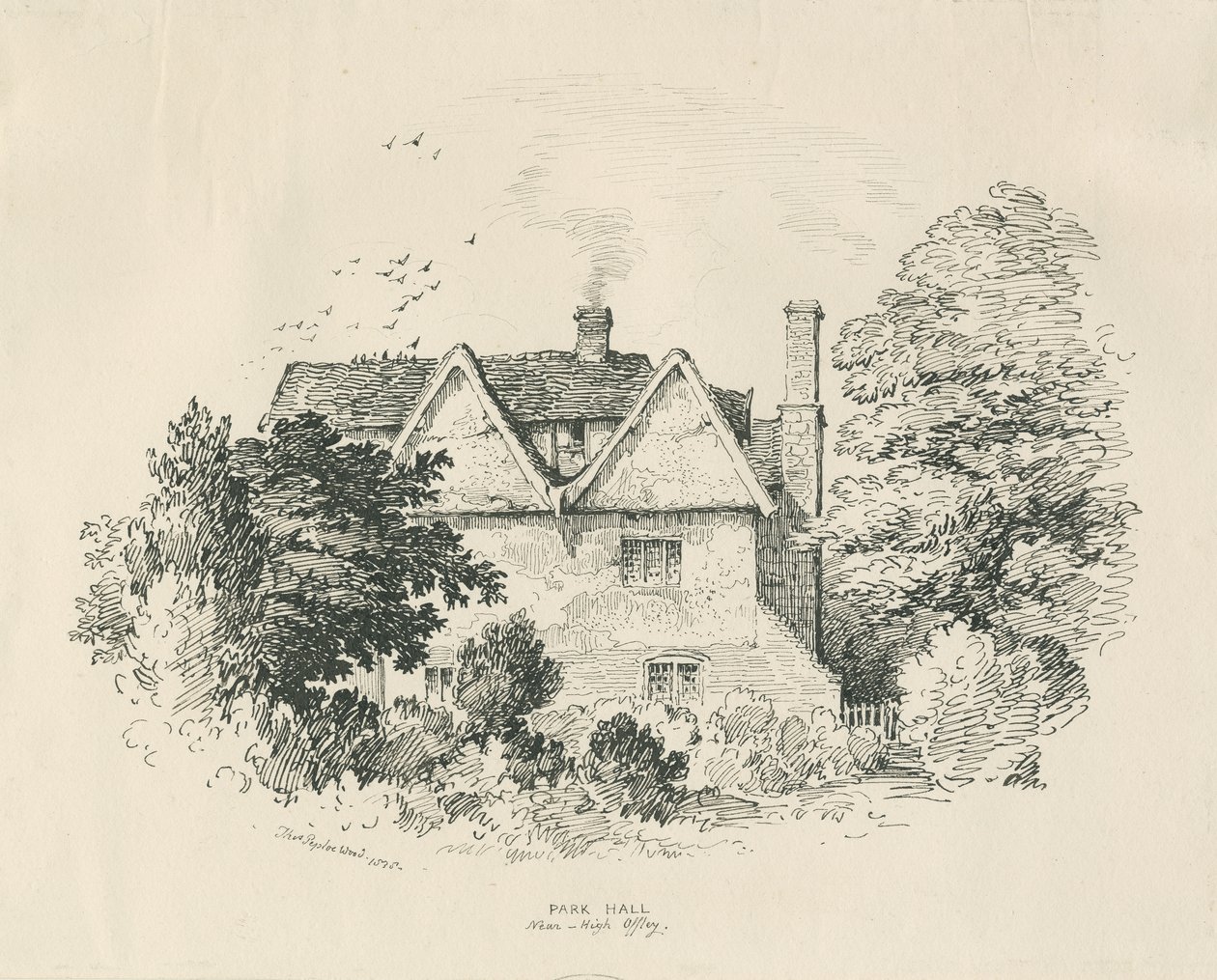 High Offley - Park Hall: kresba perem a tuší (vinětace) od Thomas Peploe Wood