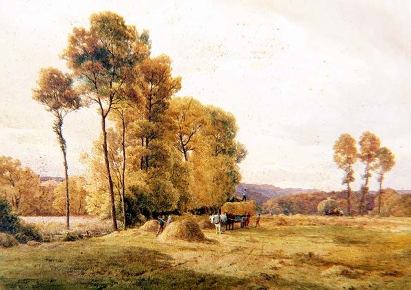 Hayfield, Večerní od Thomas Pyne