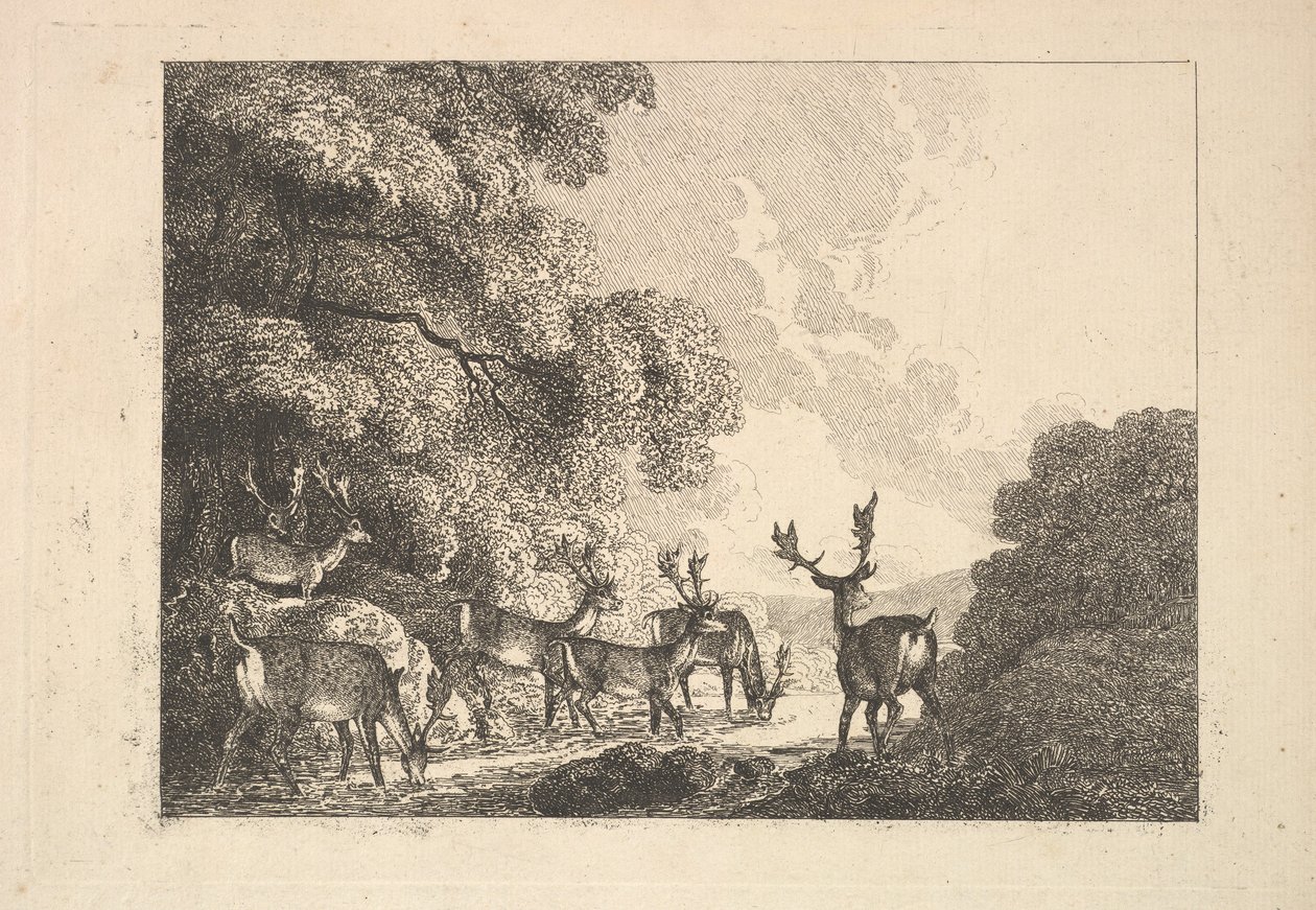 Skupina jelenů pijící, 1784-88. od Thomas Rowlandson