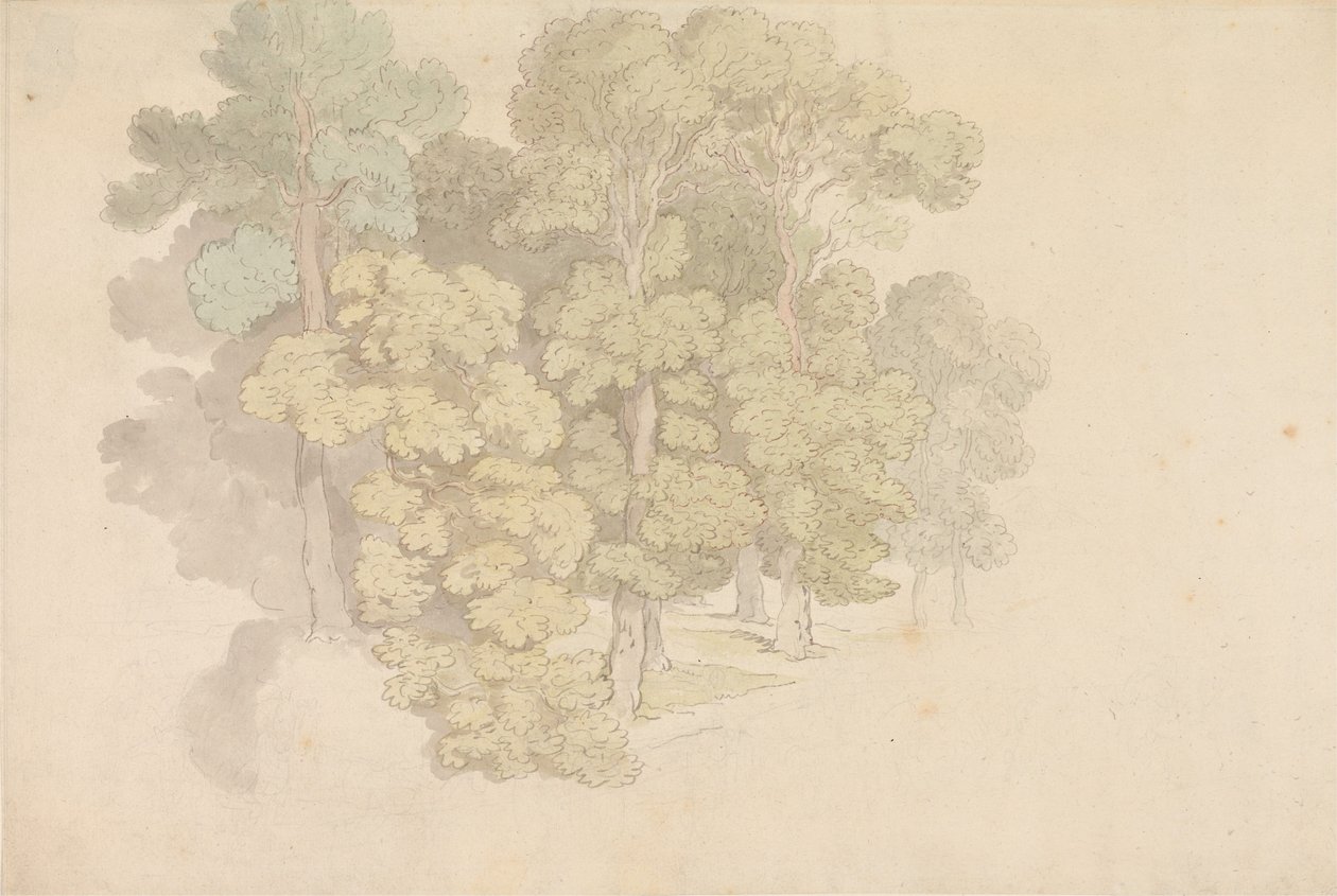 Skupina stromů od Thomas Rowlandson
