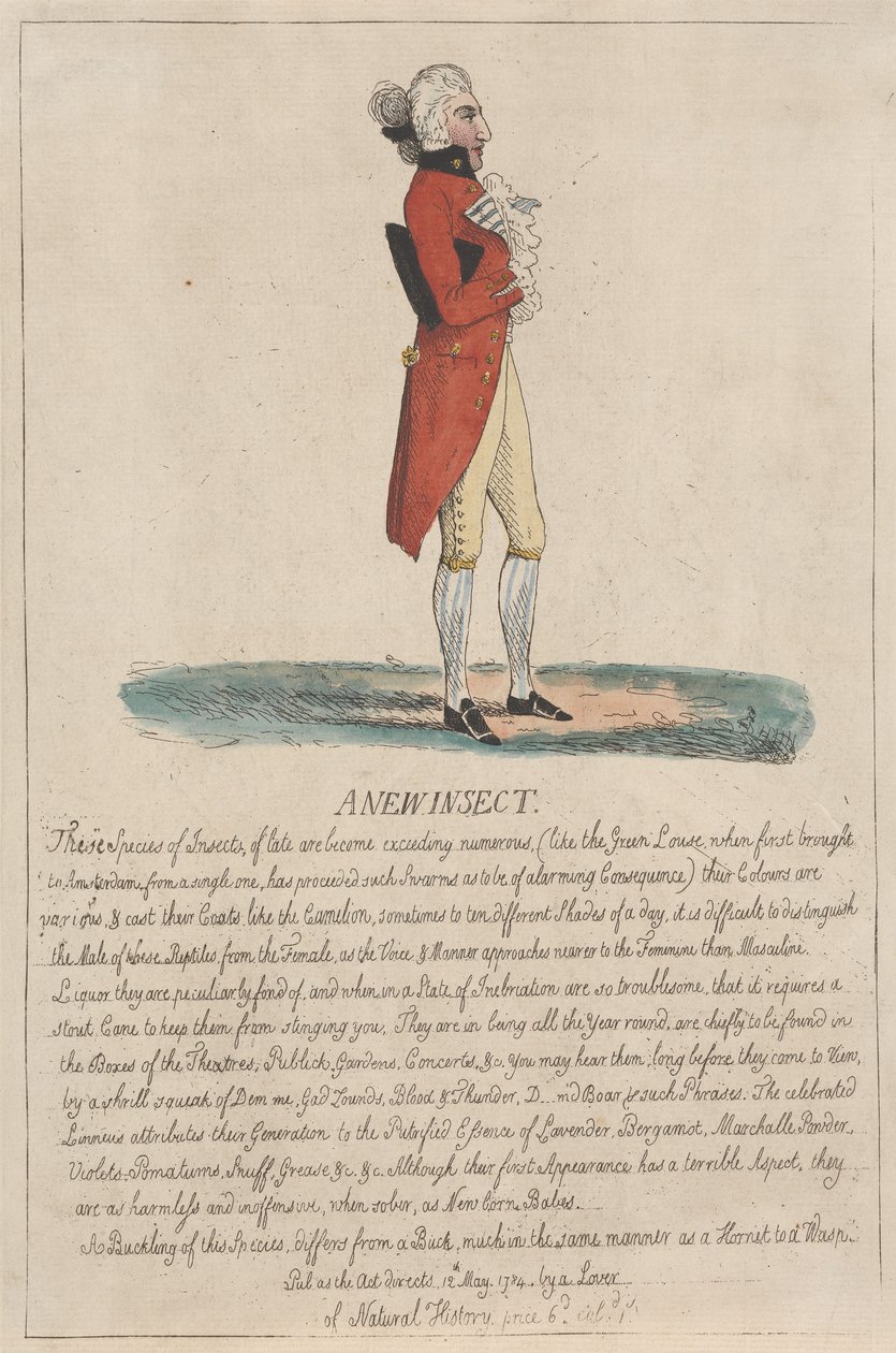 Nový druh hmyzu od Thomas Rowlandson