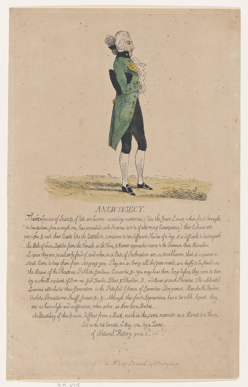 Nový hmyz, 12. května 1784, 12. května 1784. od Thomas Rowlandson