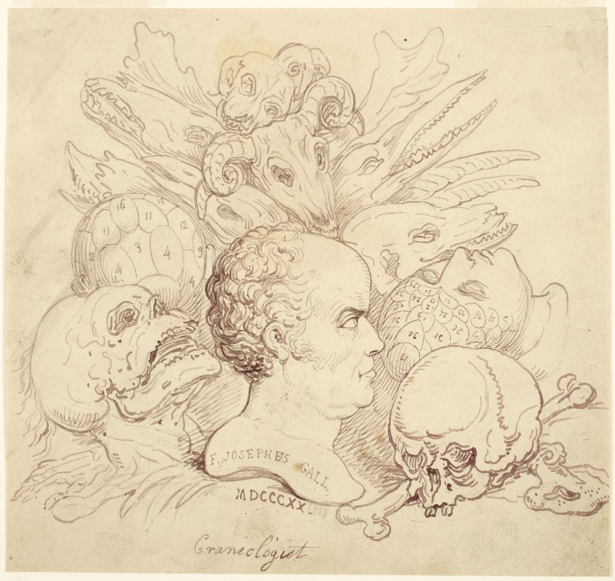 F. Josephus Gall, kraniolog od Thomas Rowlandson