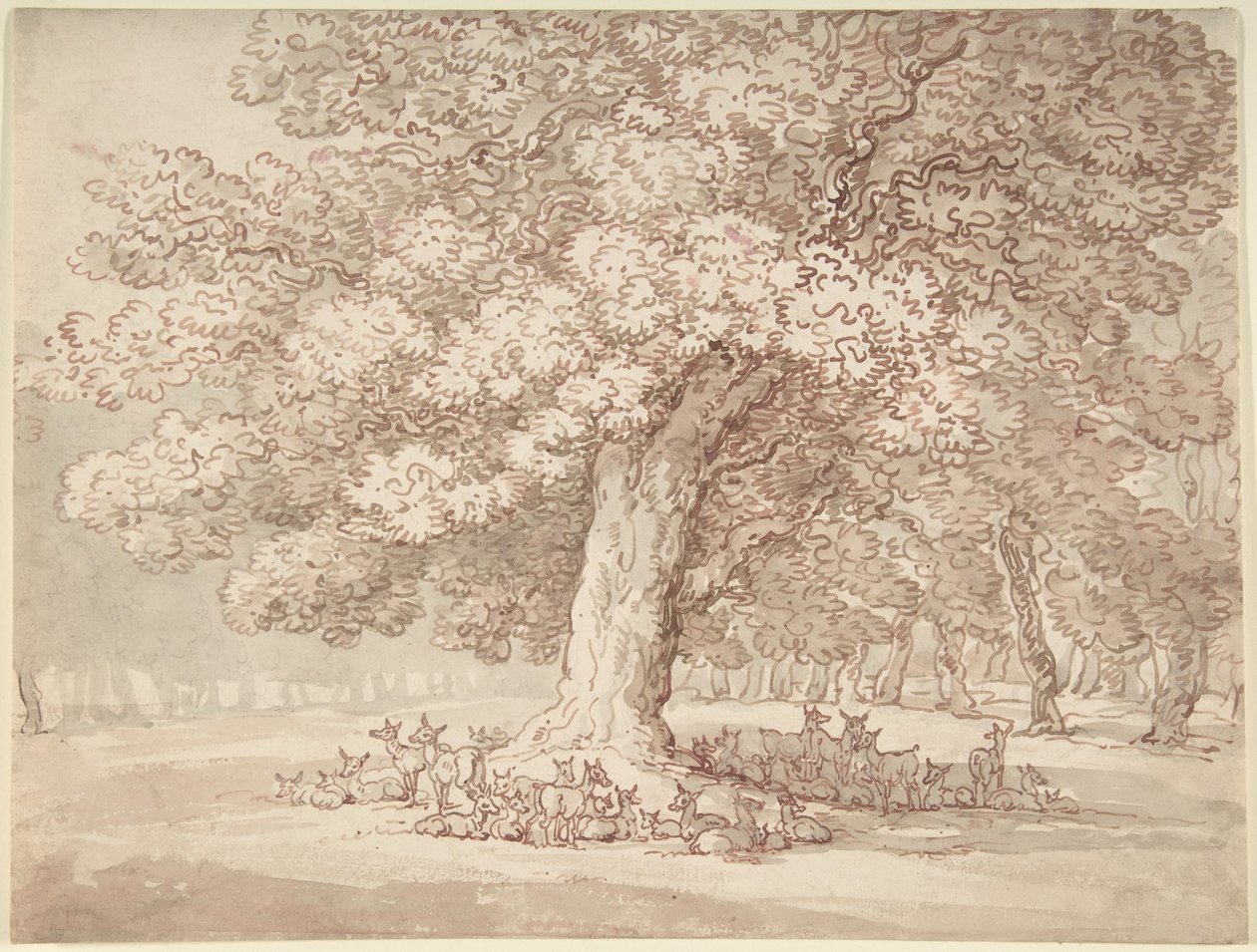 Stádo jelenů pod dubem od Thomas Rowlandson