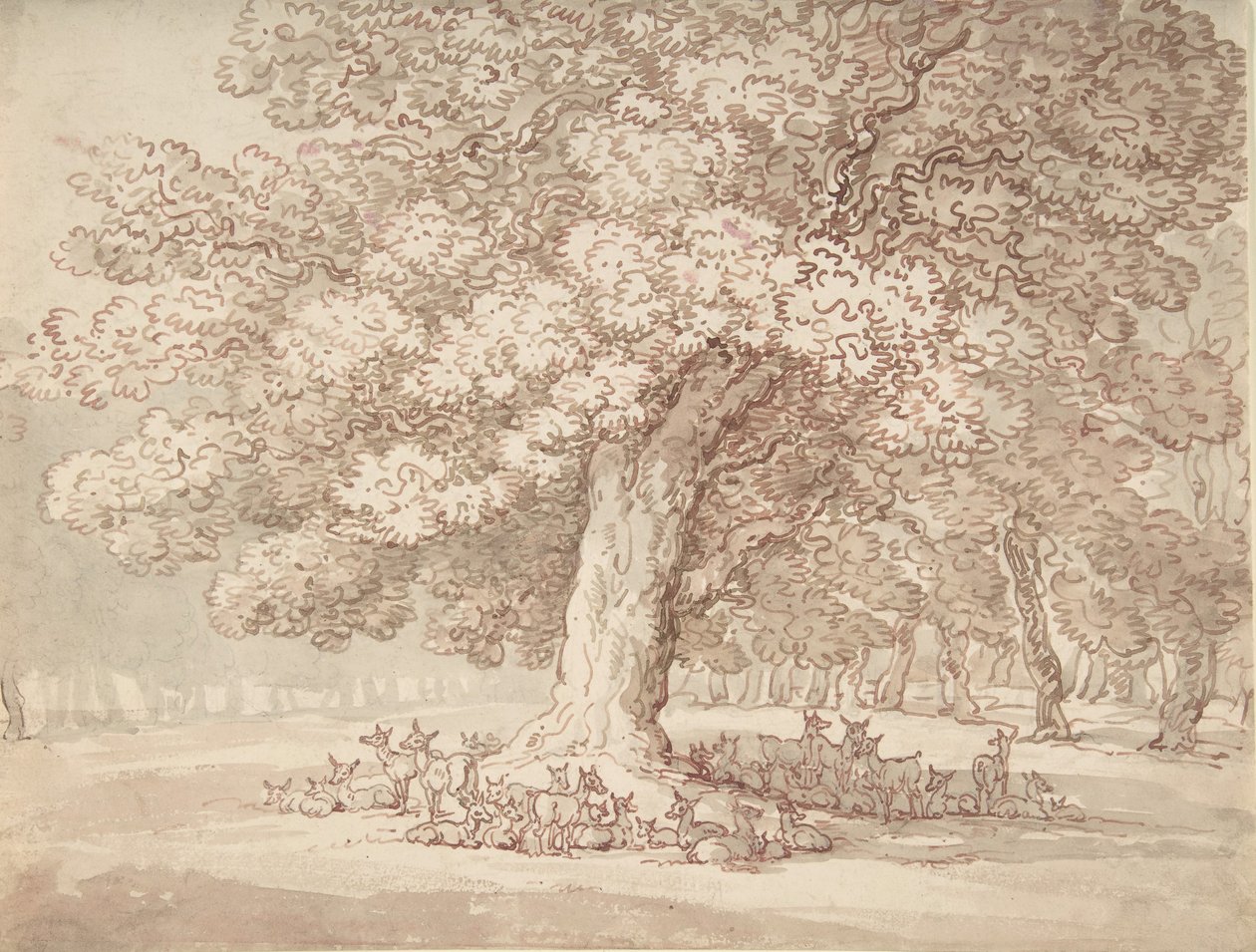 Stádo jelenů pod dubem, 1775-1827. od Thomas Rowlandson
