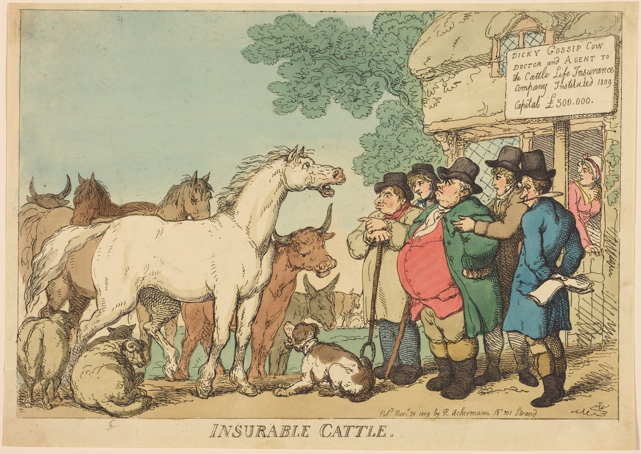 Hovězí dobytek, který lze pojistit od Thomas Rowlandson