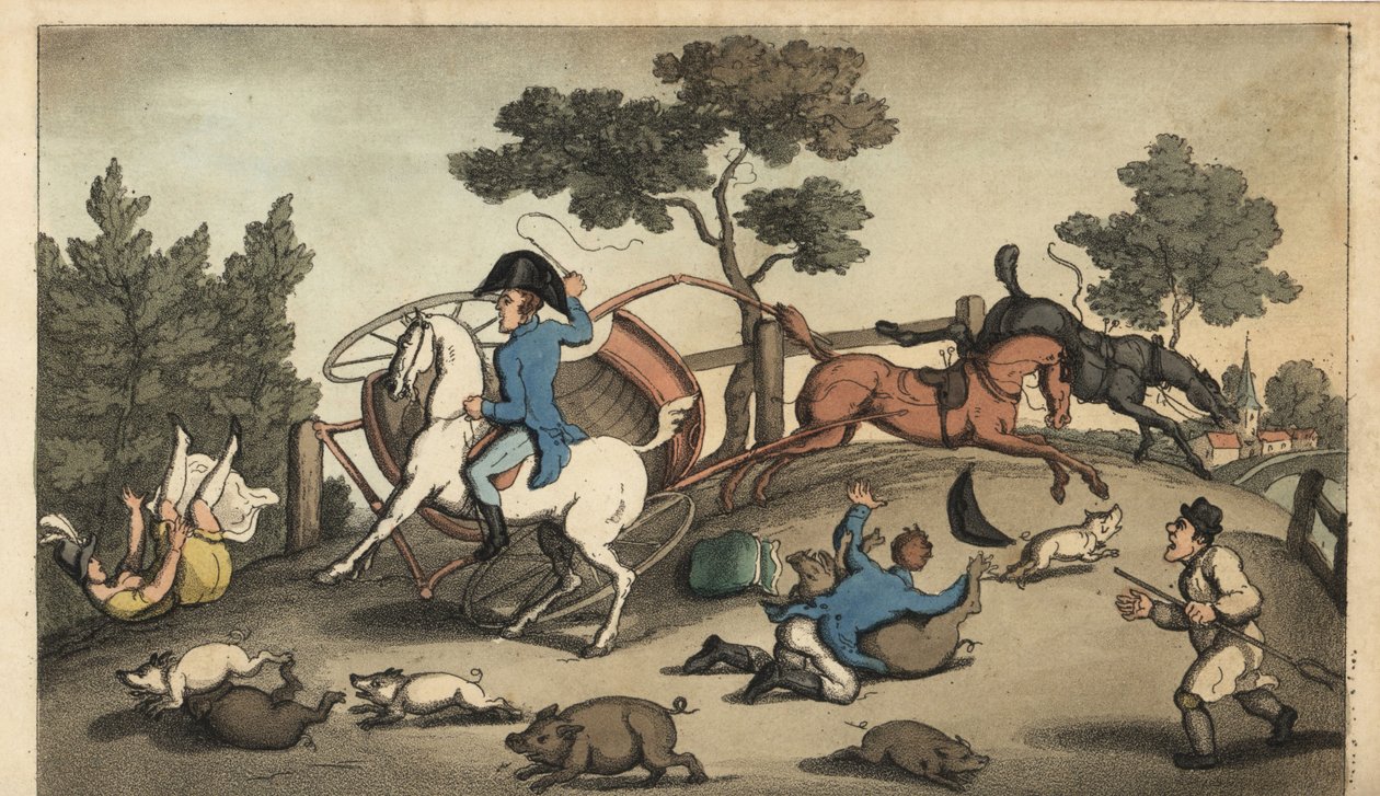 Johnny a Lady srazí koncert ve stádě prasat. Ručně kolorovaná mědirytina od W. Reada podle ilustrace Thomase Rowlandsona z knihy Alfreda Burtona The Adventures of Johnny Newcombe in the Navy, Simpkin, London od Thomas Rowlandson