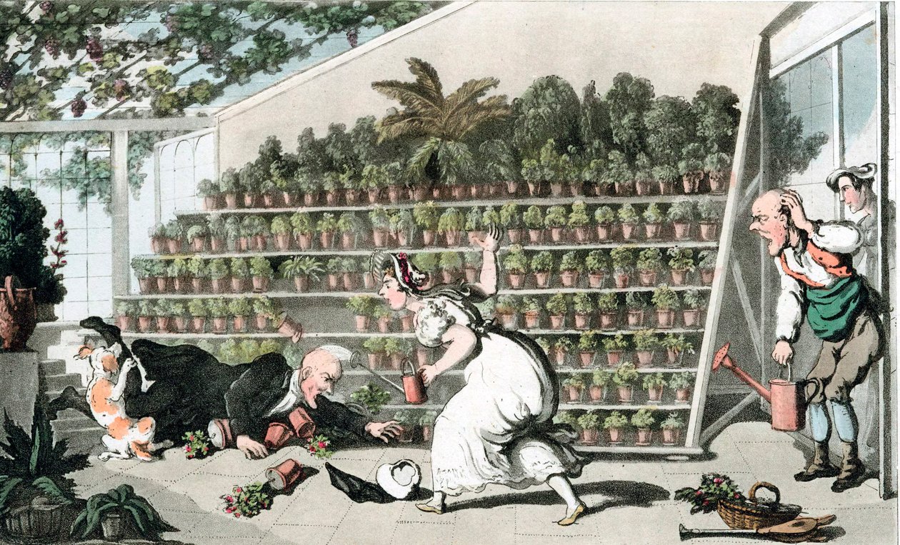 Neštěstí v Tulip Hall, c1816 od Thomas Rowlandson
