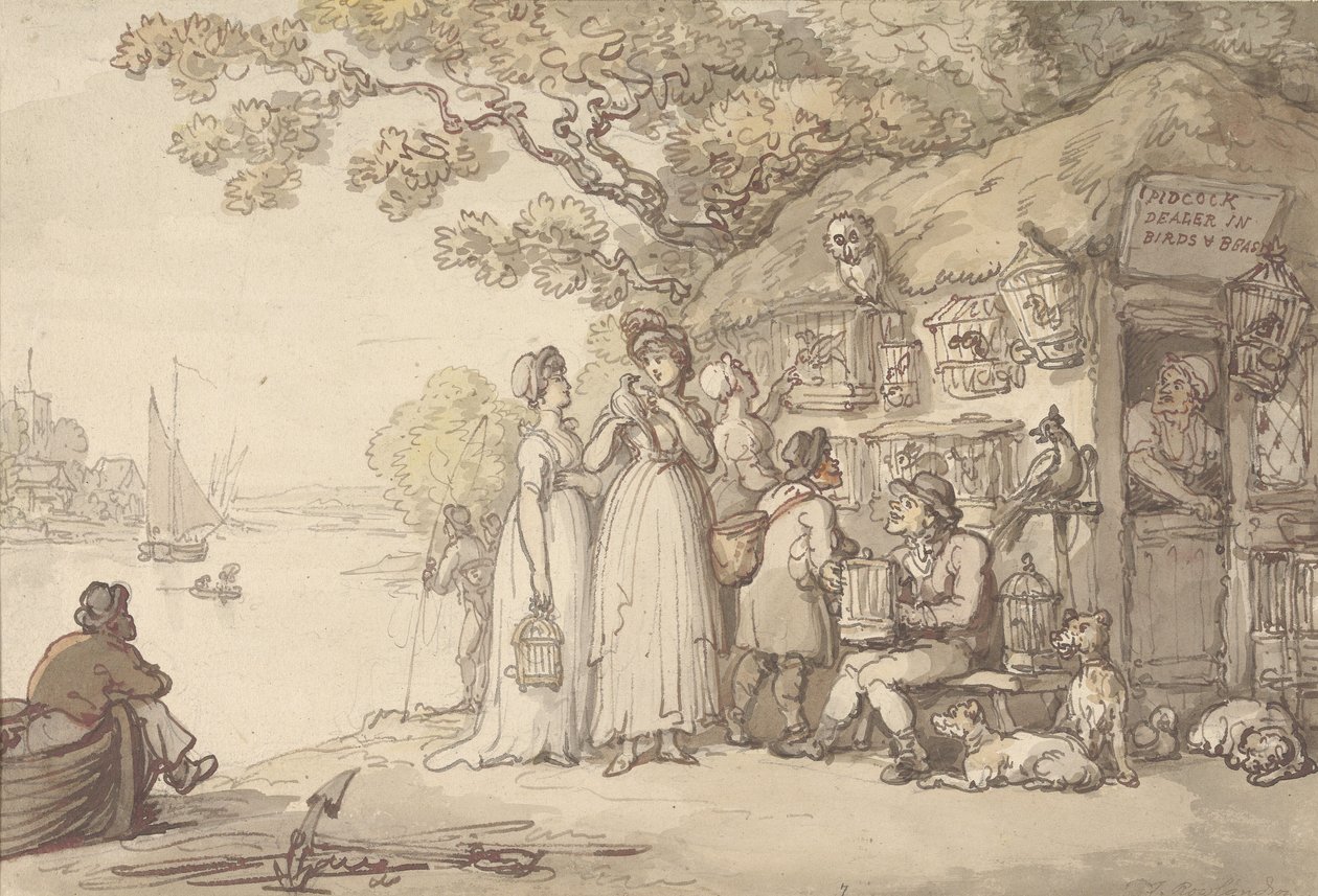 Pidcock, obchodník s ptáky a zvířaty od Thomas Rowlandson