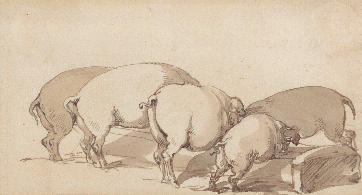 Pigs at a Trough, cca 1790 (grafit s perem a inkoustem a hnědý lavír na papíře) od Thomas Rowlandson