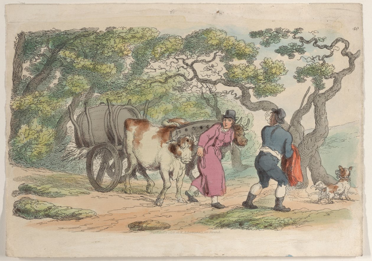 Talíř 40, z World in Miniature, 1816., 1816. od Thomas Rowlandson