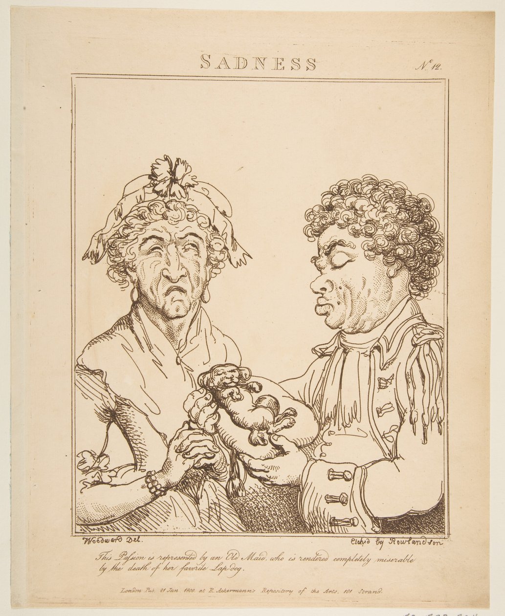 Smutek Le Brun Travested aneb karikatury vášní, 21. ledna 1800. od Thomas Rowlandson