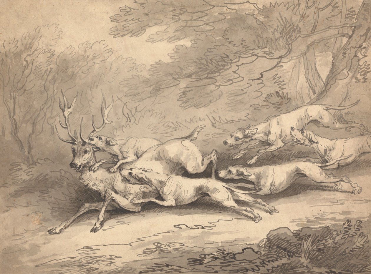 Jelen ulovený smečkou psů od Thomas Rowlandson
