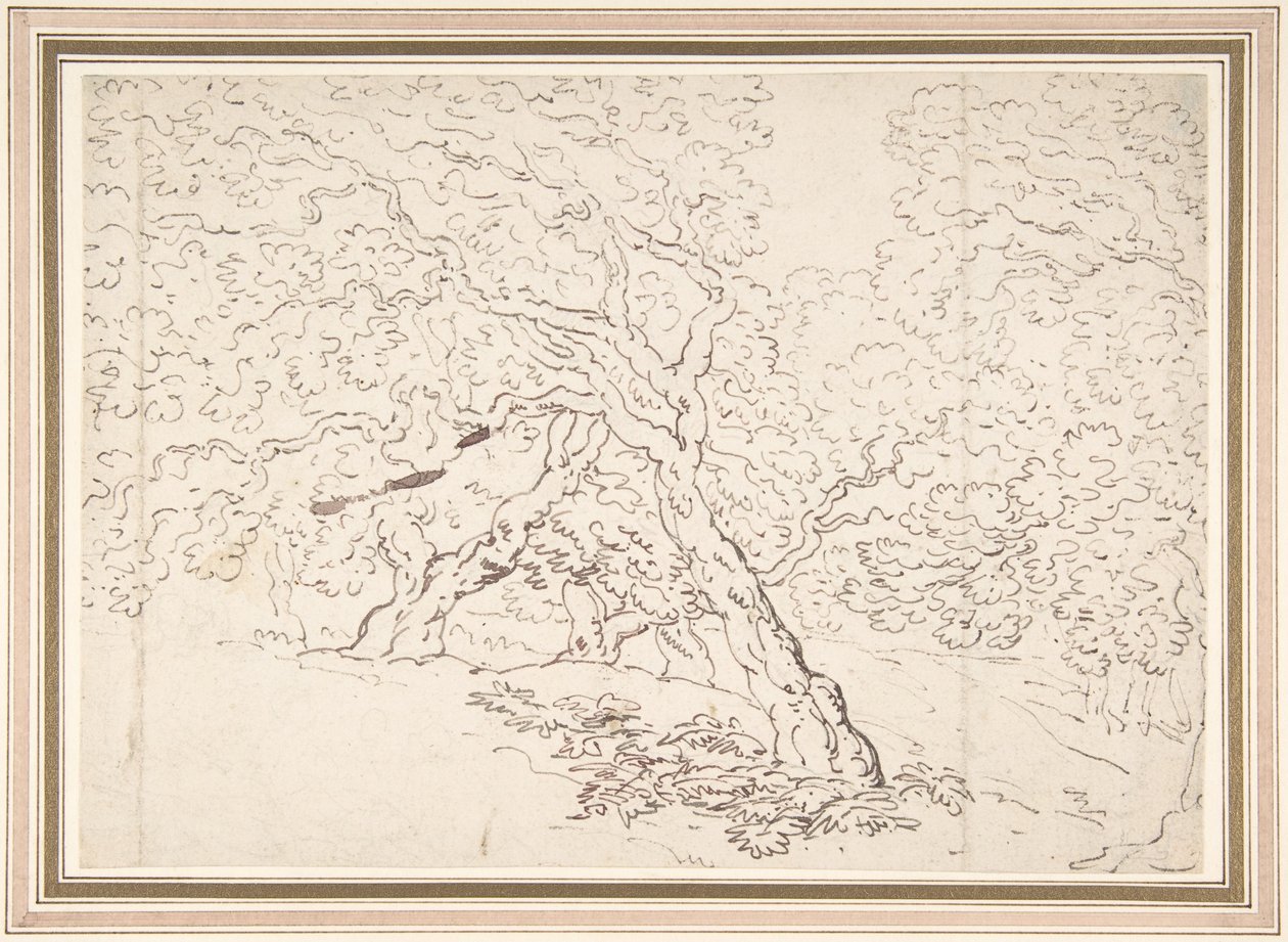 Studium stromů od Thomas Rowlandson