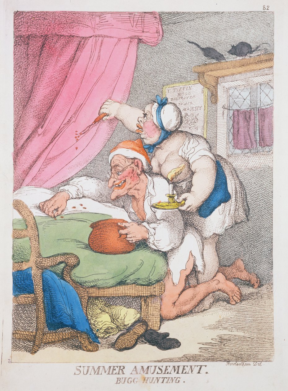 Letní zábava. Lov chyb od Thomas Rowlandson