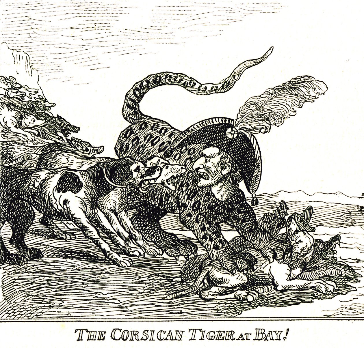 Štěkaný tygr korsický (Napoleon Bonaparte), karikatura 1808 od Thomas Rowlandson