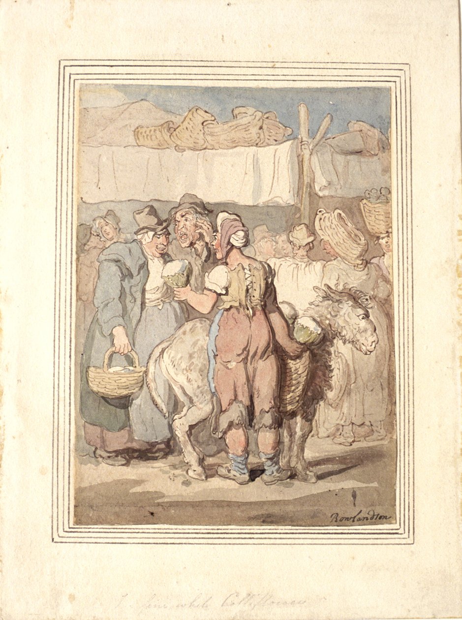 Jemný bílý květák od Thomas Rowlandson
