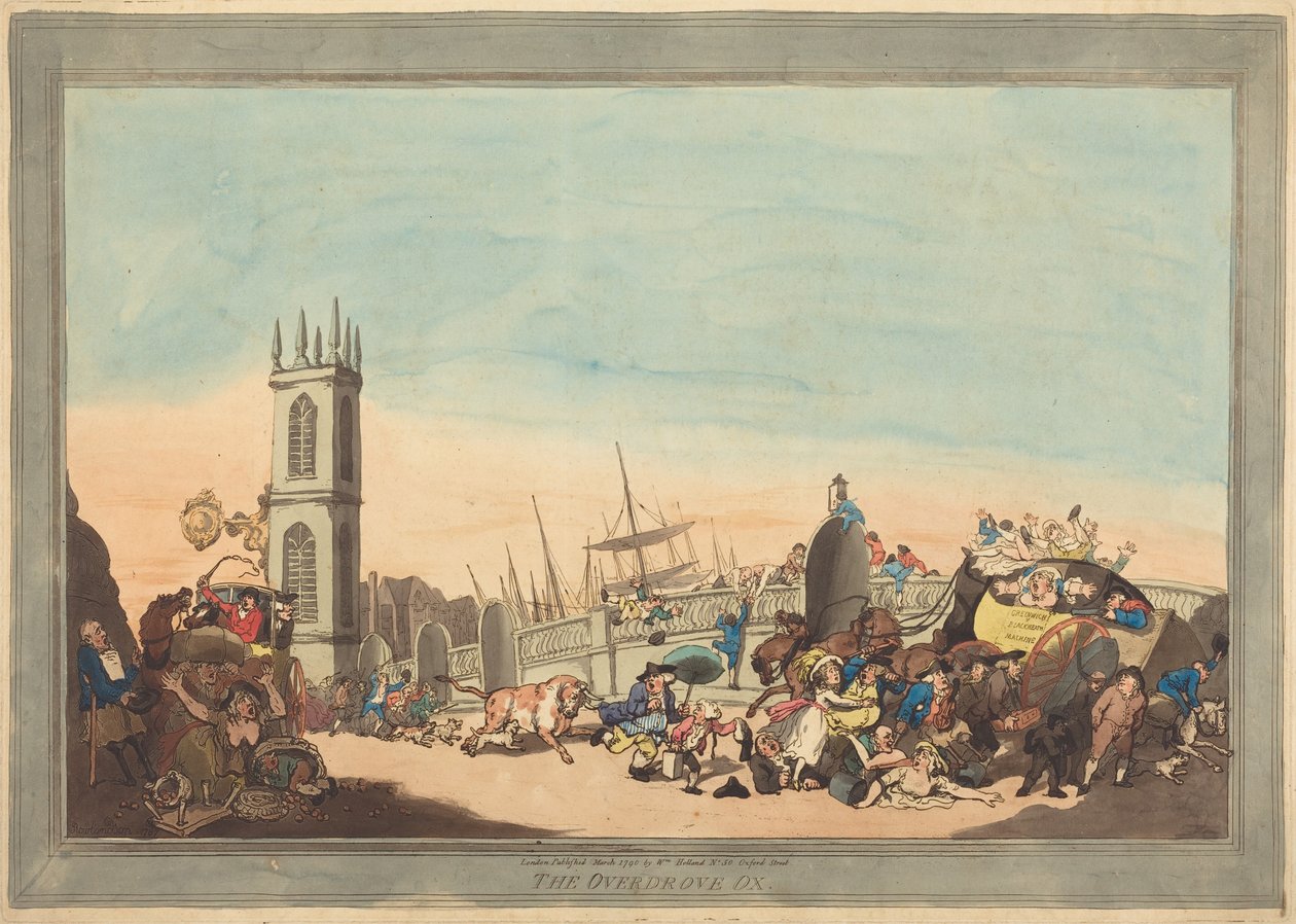 Vůl Overdrove od Thomas Rowlandson