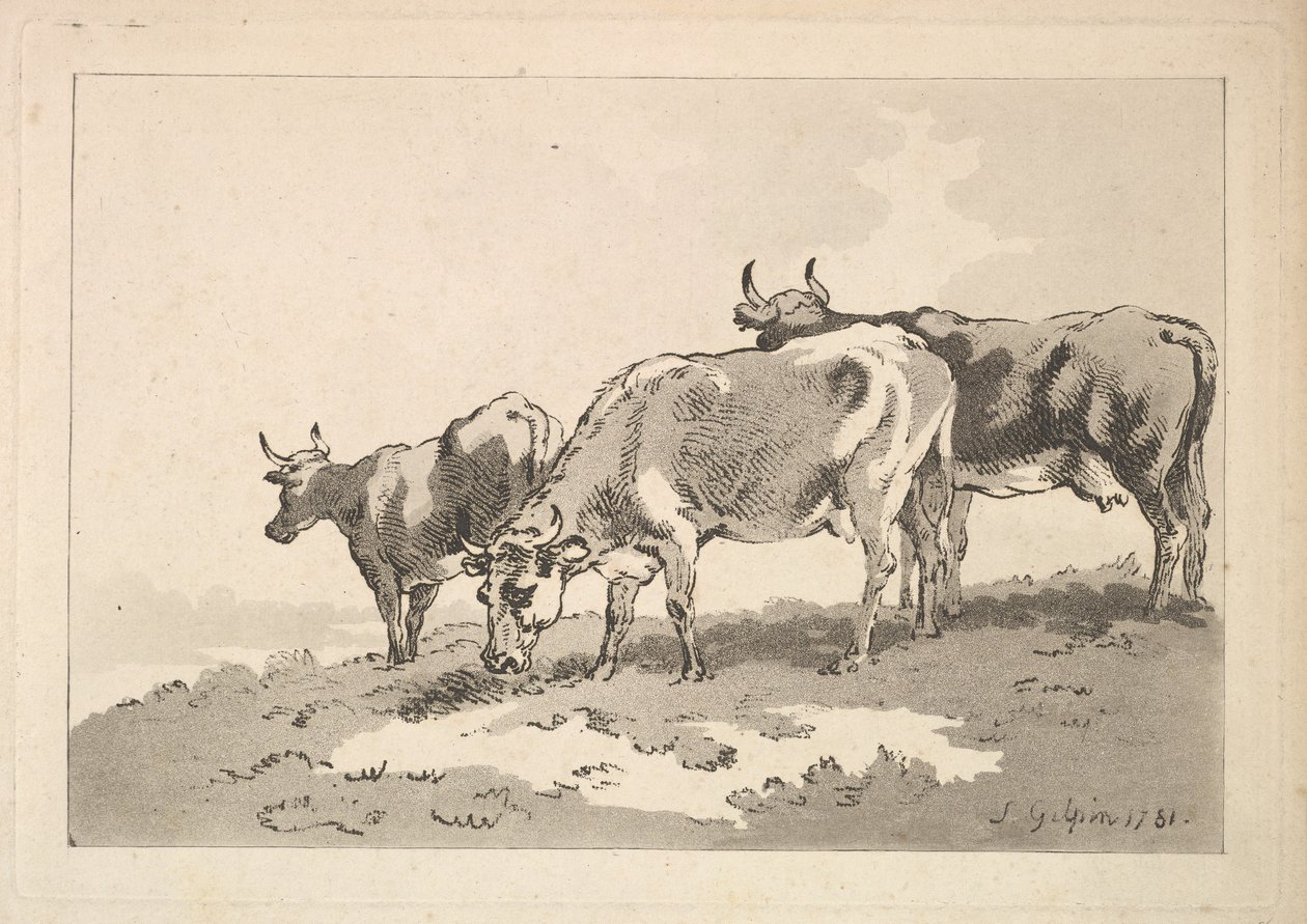 Tři krávy stojící na hřebeni pole, 1784-87. od Thomas Rowlandson
