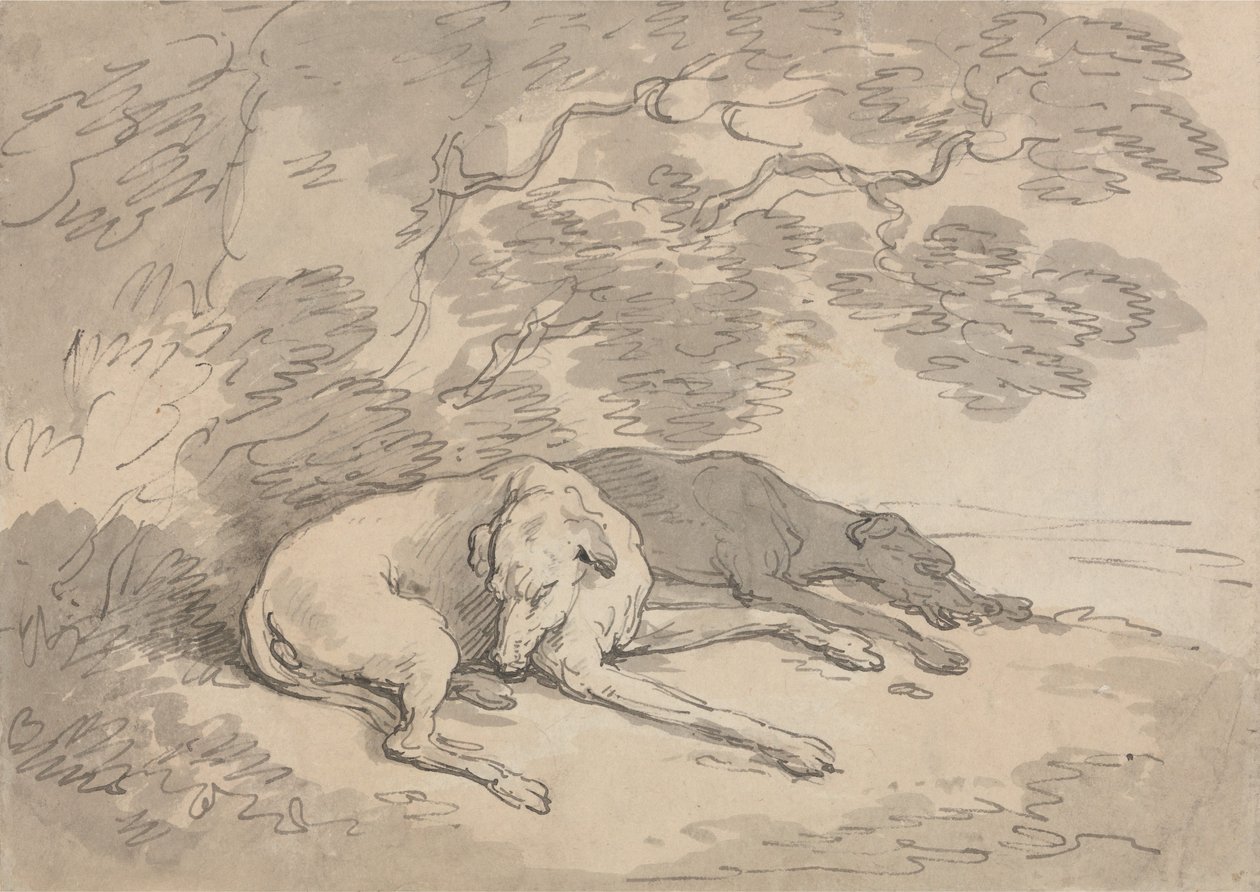 Dva chrti ležící pod stromem od Thomas Rowlandson