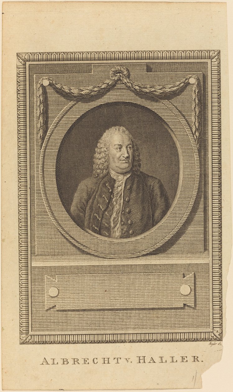 Albrecht V. Haller od Thomas Ryder