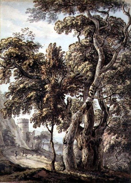 Studium stromů (pero, inkoust a akvarel na papíře) od Thomas Sandby