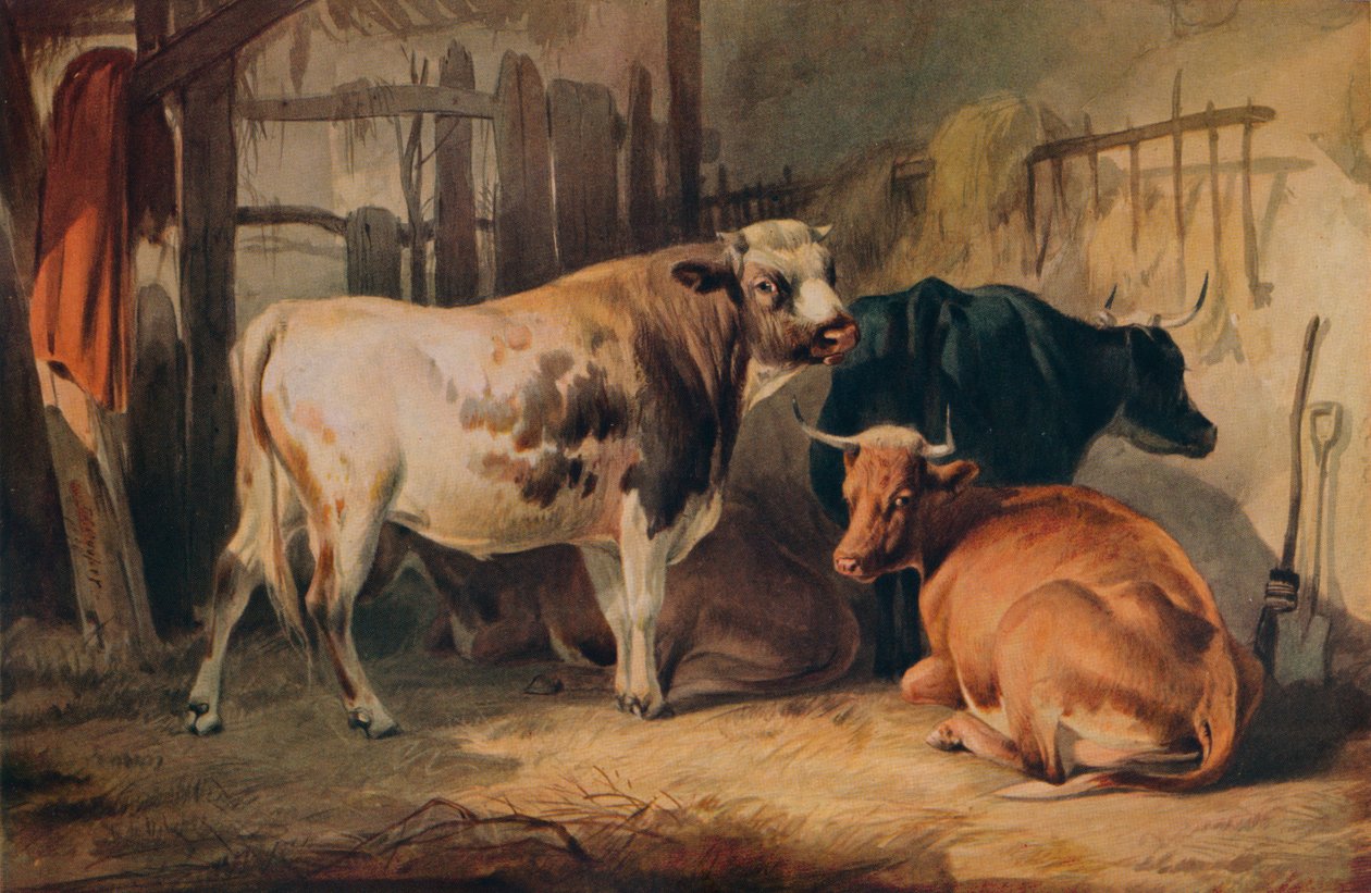 Býk a tři krávy ve stáji, c1856 od Thomas Sidney Cooper