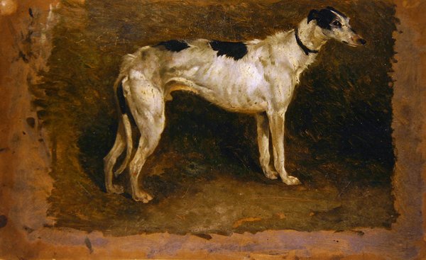 Lurcher (olej na papíře) od Thomas Sidney Cooper
