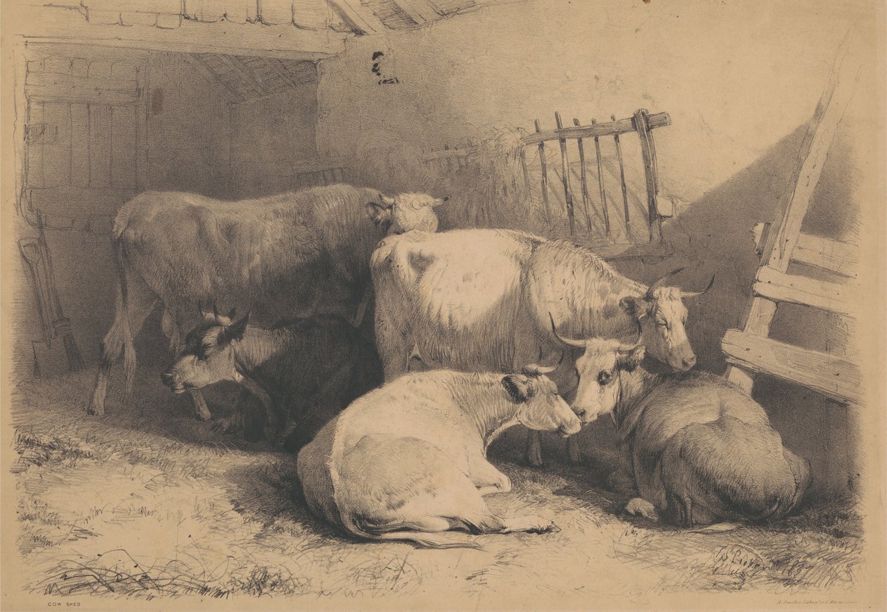 Kravín od Thomas Sidney Cooper