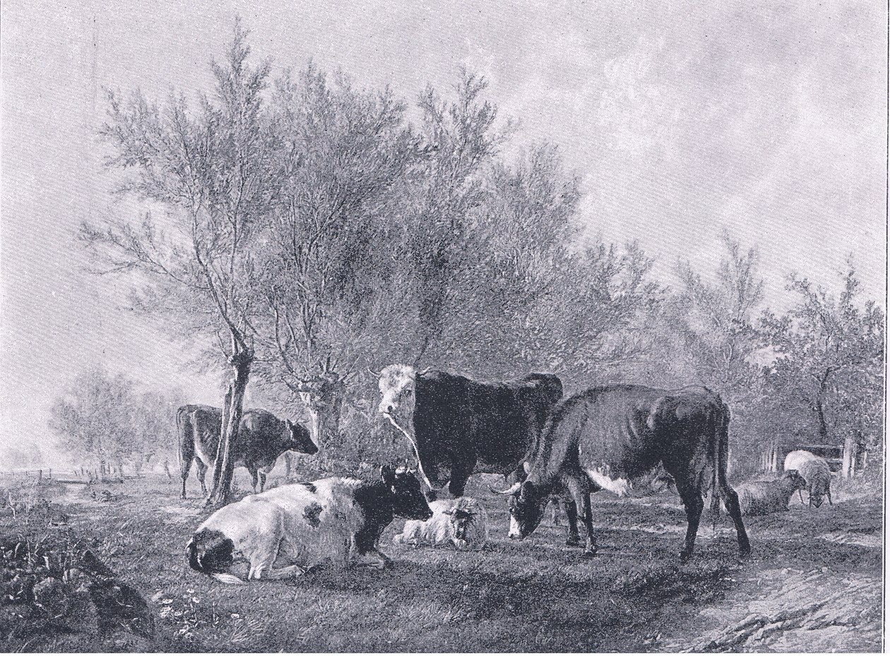 Krajina s dobytkem, z The Magazine of Art 1893, Cassell and Company od Thomas Sidney Cooper
