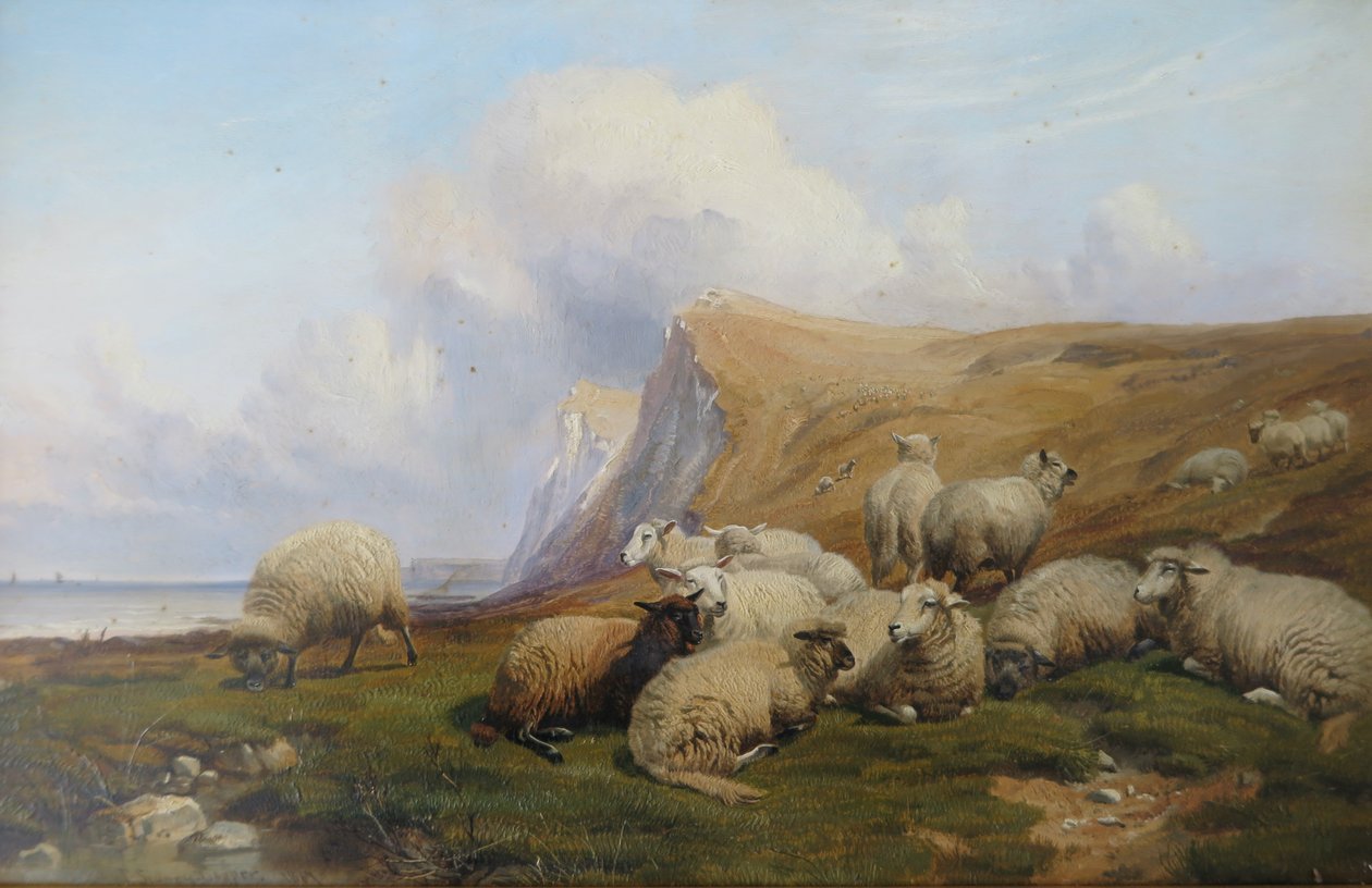 Shakespeare Cliff, Kent: Ovce na pobřežní pastvině od Thomas Sidney Cooper