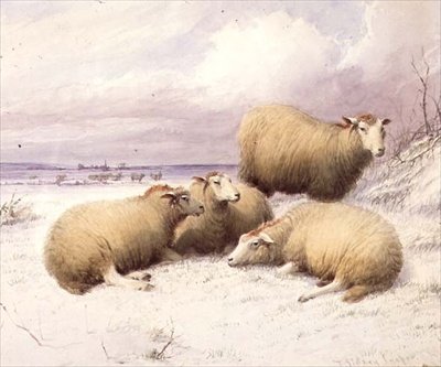 Ovce ve sněhu (akvarel na papíře) od Thomas Sidney Cooper