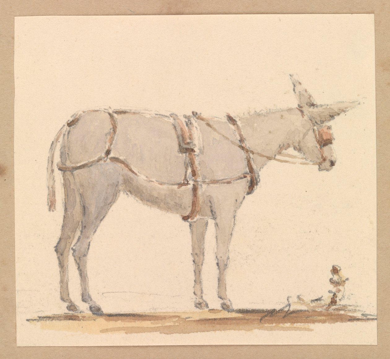 Studie osla s uzdou a postrojem, kolem roku 1820 (tužka s hnědou a šedou pastelkou na papíře) od Thomas Streatfeild