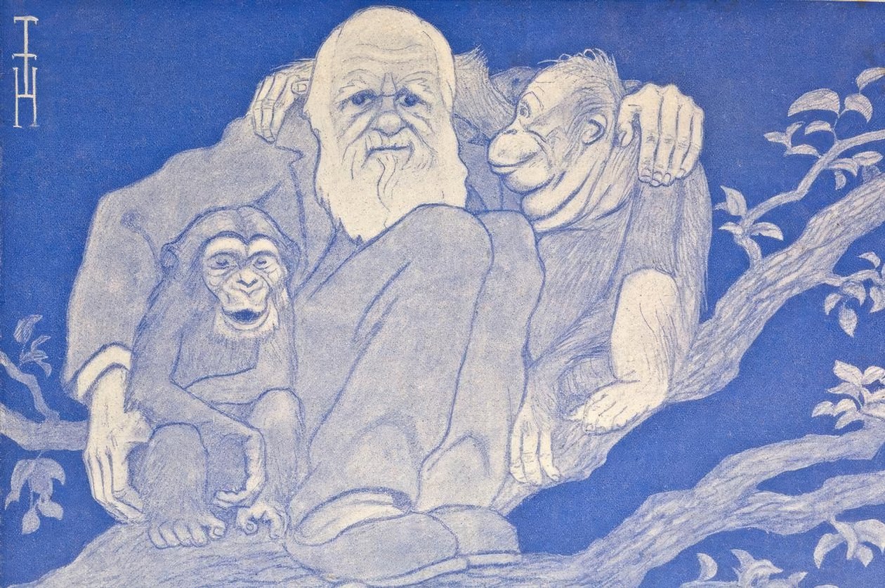 Kreslený Darwin z roku 1909 s detailem opice od Thomas Theodor Heine